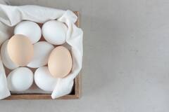 Eggs: खोकल्यावर घरगुती उपाय; जाणून घ्या अंडी खाण्याचे फायदे!