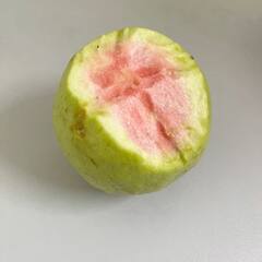 पेरू खाल्ल्यानंतर लगेच या गोष्टी खाल्ल्या तर शरीरासाठी घातक ठरू शकतात!