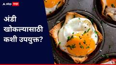 Eggs: खोकल्यावर घरगुती उपाय; जाणून घ्या अंडी खाण्याचे फायदे!
