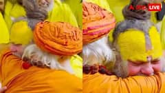 कौन थे प्रेमानंद महाराज के गुरु, जिनके बारे में इंटरनेट पर खोज रहे लोग?