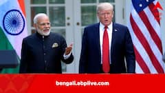 ‘ওঁর রাজনৈতিক কেরিয়ার নষ্ট করতে চাই না’, মোদিকে নিয়ে টিপ্পনি ট্রাম্পের
