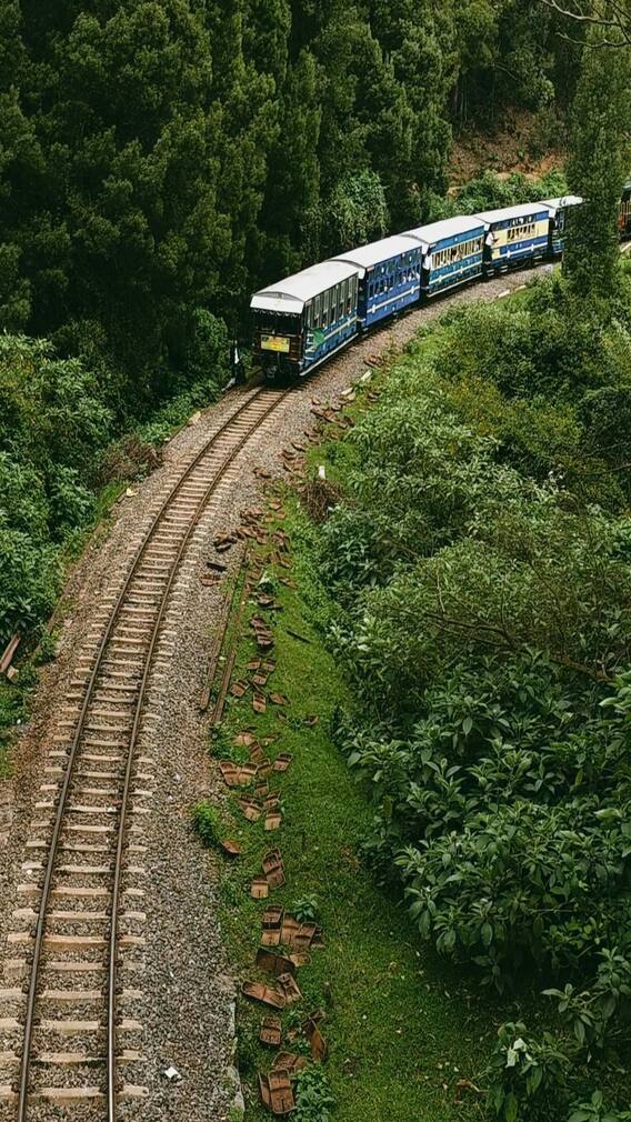 पाकिस्तान में कुल कितनी ट्रेनें हैं