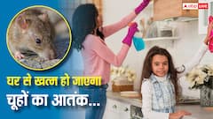 दिवाली की सफाई के साथ घर में डाल दें ये चीजें, हमेशा 2 किमी दूर रहेंगे चूहे