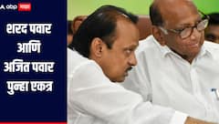 शरद पवार आणि अजित पवार पुन्हा एकत्र, राजकीय वर्तुळात चर्चांना उधाण, नेमकं कारण काय?  