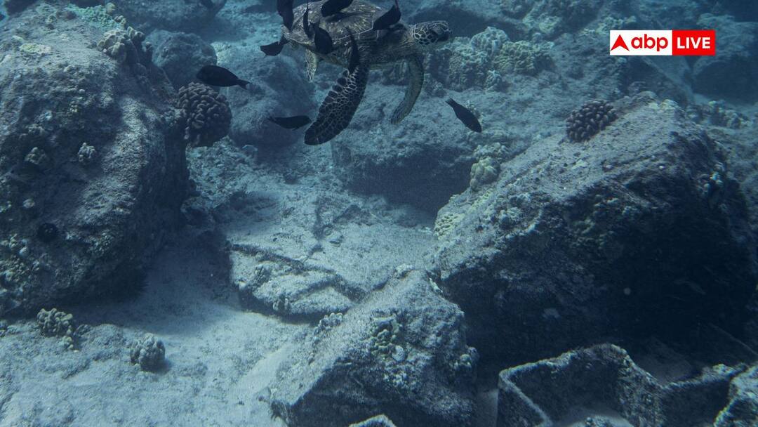 समंदर की अनदेखी दुनिया जहां आज तक नहीं पहुंचा इंसान, जानें वहां क्या-क्या छिपा है? Most inaccessible place on earth and what it hides where no one has reached and why समंदर की अनदेखी दुनिया जहां आज तक नहीं पहुंचा इंसान, जानें वहां क्या-क्या छिपा है?