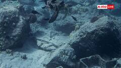 समंदर की अनदेखी दुनिया जहां आज तक नहीं पहुंचा इंसान, जानें वहां क्या-क्या छिपा है?