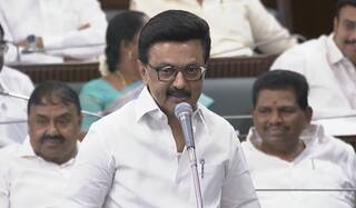 ஆளுநர் பரிந்துரையை ஏற்க மறுத்த முதல்வர் ஸ்டாலின்! மருத்துவ மசோதா விவகாரத்தில் பரபரப்பு!