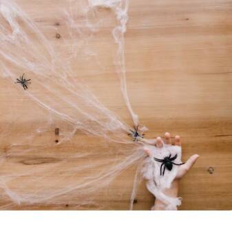 ਘਰ ਵਿੱਚ ਮੱਕੜੀ ਦੇ ਜਾਲੇ ਰੋਕਣ ਦੇ ਆਸਾਨ ਤਰੀਕੇ, ਵਰਤੋਂ ਇਹ ਸਫਾਈ ਟਿੱਪਸ