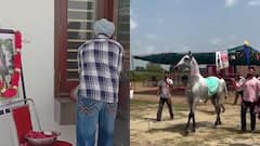 लुधियाना में घोड़े की मौत पर मालिक ने रखी अंतिम अरदास, कार्ड छपाए और रिश्तेदारों को बुलाया