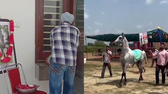 लुधियाना में घोड़े की मौत पर मालिक ने रखी अंतिम अरदास, कार्ड छपाए और रिश्तेदारों को बुलाया