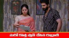 ‘బ్రహ్మముడి’ సీరియల్: రుద్రాణి ప్లాన్‌ సక్సెస్‌ - కావ్యకు విడాకులు ఇస్తానన్న రాజ్‌