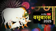 गाय-वासराच्या अतूट प्रेमाचं प्रतीक 'वसुबारस'; वाचा या दिनाचं महत्त्व आणि पूजा विधी