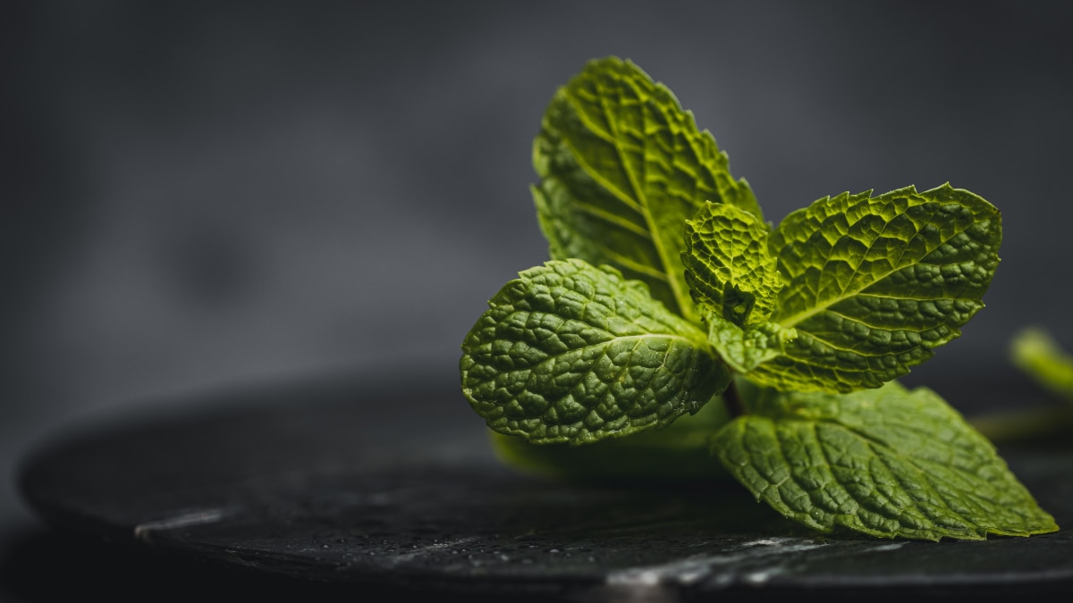 Glow Naturally: 5 Herbs That Keep Your Skin Radiant And Glowing This Festive Season