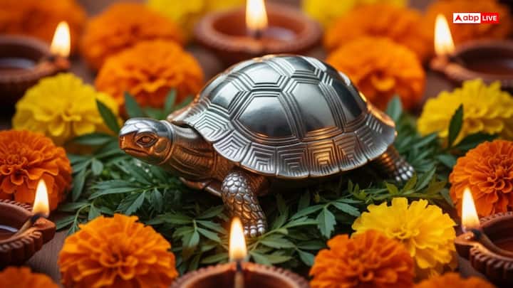 धनतेरस के दिन कछुआ खरीदना बेहद शुभ होता है. मान्यता है कि अगर चांदी का कछुआ हो तो वो और भी शुभ होता है, इससे वस्तु दोष दूर होता है. कछुआ को दीर्घायु और खुशहाली का प्रतीक माना जाता है.