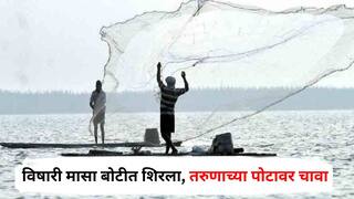 Poisonous Fish Death: विषारी मासा बोटीत शिरला, तरुणाच्या पोटावर चावा घेतला, आतड्याला दुखापत, डॉक्टरांनी प्रयत्नांची शर्थ करुनही जीव वाचलाच नाही