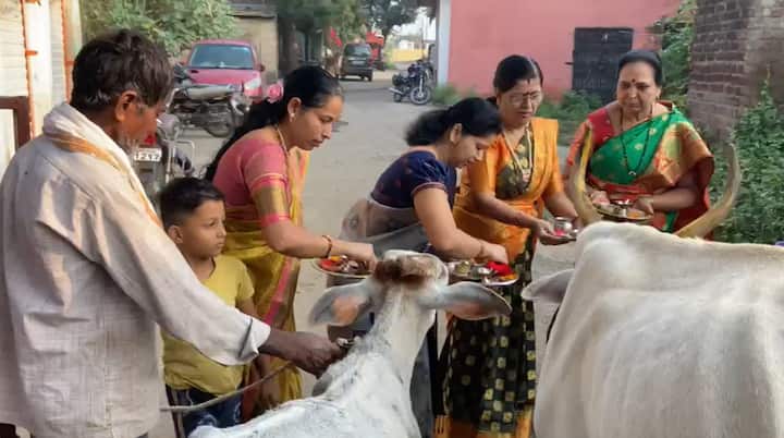 महिलांकडून बाजरीच्या पिठाचे दिवे तयार करून त्याने गाय-वासरांना औक्षण केले जाते. वसुबारसच्या पूजेत बाजरीचे विशेष महत्त्व आहे.