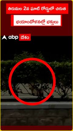 తిరుమల 2వ ఘాట్ రోడ్డులో చిరుత భయాందోళనల్లో భక్తులు