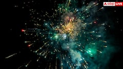 Diwali 2025: বাজির আওয়াজ ও দূষণে সমস্যা? শিশুদের স্বাস্থ্য ঠিক রাখতে কালীপুজোতে কী করবেন?