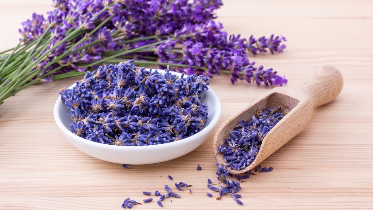 Glow Naturally: 5 Herbs That Keep Your Skin Radiant And Glowing This Festive Season
