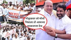 'डिबेंचर'चा मुद्दा तापला, गोकुळमध्ये जनावरे घुसवण्याचा प्रयत्न, अध्यक्षांचा कान पिळण्याचा दम; आता हसन मुश्रीफ, सतेज पाटील काय म्हणाले?