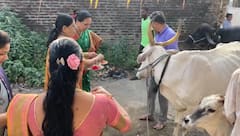 वसुबारस पूजनाने दिवाळीची मंगलमय सुरुवात; भक्ती, परंपरा आणि समृद्धीचा संगम!