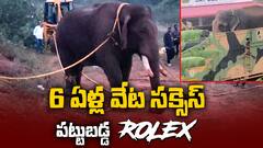 6 ఏళ్ల వేట సక్సెస్.. పట్టుబడ్డ రోలెక్స్