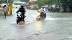 Tamil Nadu Weather Update: தூத்துக்குடி, குமரியில் கொட்டித்தீர்த்த கனமழை! உப்பு உற்பத்தி பாதிப்பு!