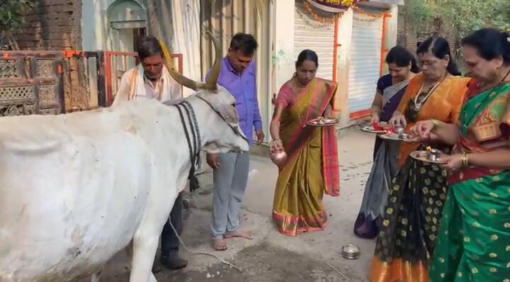 वसुबारस हा सण गोमातेप्रती कृतज्ञता व्यक्त करण्याचा आणि तिच्या महत्त्वाची जाणीव करून देणारा सण आहे.