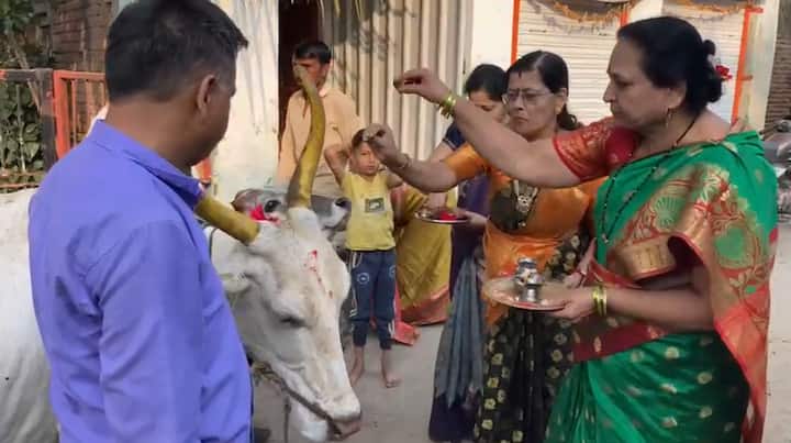 वसुबारस हा सण निसर्गाशी असलेल्या आपल्या नात्याची जाणीव करून देतो. शेती आणि दूध या दोन्हींचा आधार असलेल्या गाईचे आज विशेष पूजन केले जाते.