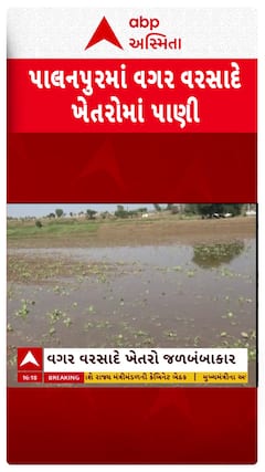 Palanpur News : પાલનપુરના ખેતરો વગર વરસાદે જળબંબાકાર, ખેડૂતોનો પાક બરબાદ