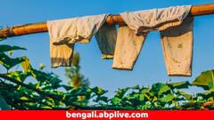 Cloth Colour Tips : কাপড় নতুনের মতো রাখতে চান ? এই টিপসগুলি মানুন