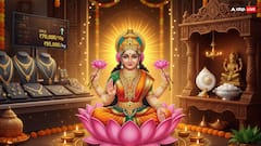 Dhanteras 2025: सोना और चांदी के बढ़ते दाम धनतेरस पर बन रहें है रुकावट, तो घर लाएं ये सस्ती चीजें, मां लक्ष्मी का आशीर्वाद!