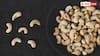 Cheapest Cashews: इस जिले में टमाटर के भाव में मिलते हैं काजू, रेट सुनकर नहीं होगा यकीन