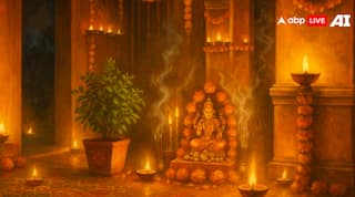 Diwali 2025: เจจเจฐเจ เจเจคเฉเจฐเจฆเจถเฉ 'เจคเฉ เจเจฐเฉ เจเจน เจเจชเจพเจ
, เจเจฐเฉเจพ เจ
เจคเฉ เจเฉฐเจเจพเจฒเฉ เจนเฉเจตเฉเจเฉ เฉเจคเจฎ!