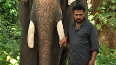Kumki 2: கம்பேக் தருவாரா பிரபு சாலமன்? கும்கி 2 டீசர் ரிலீஸ் - வில்லன் யார் தெரியுமா?