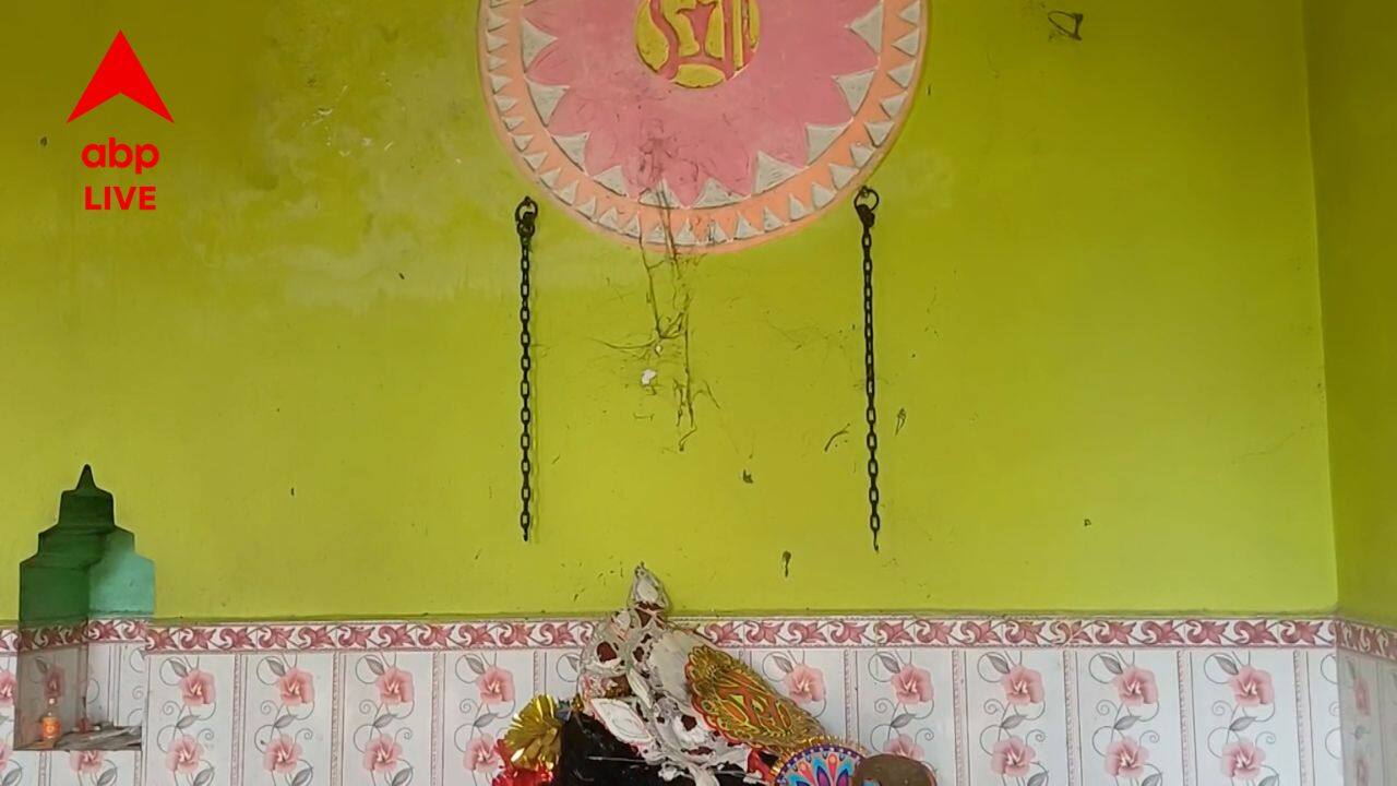 Kali Pujo 2025: স্বপ্নাদেশ পেলেই শুরু হয় মূর্তি গড়ার কাজ, কেন জিড়রা গ্রামের কালী প্রতিমা শিকল বাঁধা থাকেন?