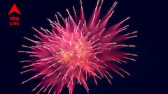 Diwali 2025: বাজির আওয়াজ ও দূষণে সমস্যা? শিশুদের স্বাস্থ্য ঠিক রাখতে কালীপুজোতে কী করবেন?