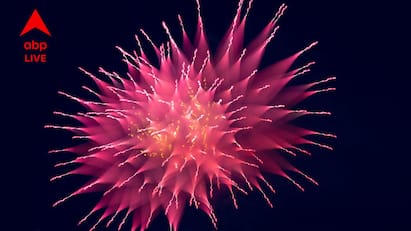 বাজির আওয়াজ ও দূষণে সমস্যা? শিশুদের স্বাস্থ্য ঠিক রাখতে কালীপুজোতে কী করবেন? বাজির আওয়াজ ও দূষণে সমস্যা? শিশুদের স্বাস্থ্য ঠিক রাখতে কালীপুজোতে কী করবেন?