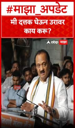 Ajit Pawar : मी दत्तक घेऊन उरावर काय करू?