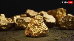 RBI के गोल्ड रिजर्व ने तोड़ दिए सारे रिकॉर्ड, पहली बार 100 अरब डॉलर के पार