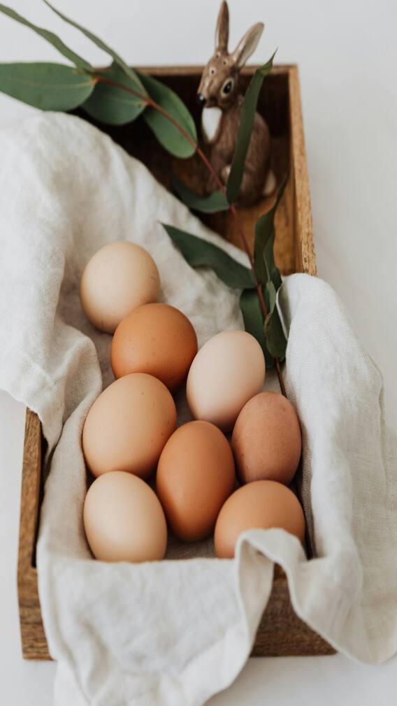 రోజూ గుడ్లు తినొచ్చా?