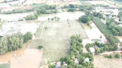 மழை பாதித்த சம்பா, தாளடி பயிர்களைக் காக்க உடனடி தீர்வு! விவசாயிகள் கவனத்திற்கு: வேளாண் இணை இயக்குநர் அறிவுரை