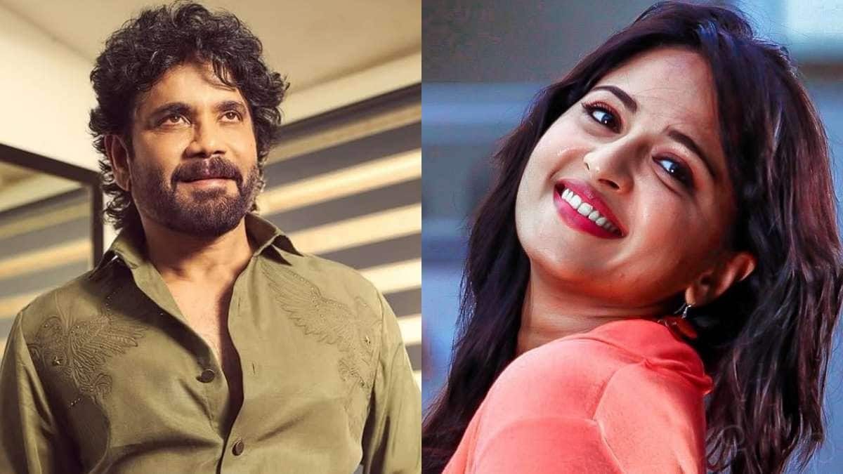 Nagarjuna: కింగ్ నాగార్జునకు జోడిగా స్వీటీ? - హిట్ పెయిర్ మరోసారి రిపీట్... రోల్ ఏంటో తెలుసా?