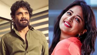 Nagarjuna: కింగ్ నాగార్జునకు జోడీగా స్వీటీ? - హిట్ పెయిర్ మరోసారి రిపీట్... రోల్ ఏంటో తెలుసా?