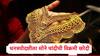 Diwali 2025 : होऊ दे खर्च, धनत्रयोदशीलाच भारतीयांनी तिजोरी उघडली, सोने चांदीसह तब्बल 1 लाख कोटींची खरेदी