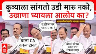 Ajit Pawar in Phalthan: दादा, कुत्री उड्या मारतात, डिवायडर मोठे करा, तक्रार ऐकून अजित पवारांनी डोक्यावर हात मारला, आजपर्यंतचं सर्वात धमाल भाषण