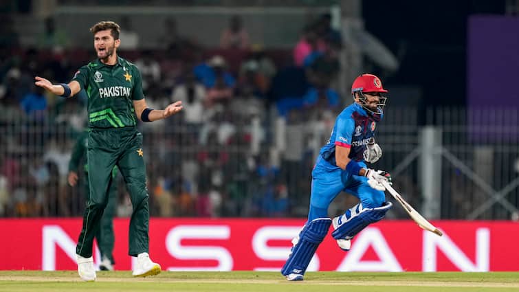 Pakistan Cricket Board Seeks Replacement After Afghanistan Withdraws From Tri-Series