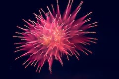 Diwali 2025: বাজির আওয়াজ ও দূষণে সমস্যা? শিশুদের স্বাস্থ্য ঠিক রাখতে কালীপুজোতে কী করবেন?