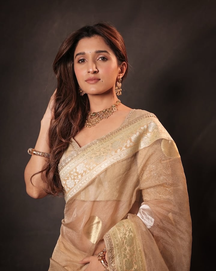 लेकिन बॉलीवुड में उन्हें वो पहचान नहीं मिली जिसकी हकदार निधि शाह असल मायने में थीं. फिल्मों में जब हसीना का सिक्का नहीं चला तब उन्होंने टीवी इंडस्ट्री का रुख किया. टीवी सीरियल्स में ऑडियंस ने उन्हें बहुत प्यार दिया और उनकी पॉपुलैरिटी में भी काफी इजाफा हुआ.