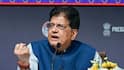 'India-US Trade Talks Moving Well, No Deadlines; Farmers & MSMEs Prioritised': Piyush Goyal